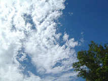 夏の空